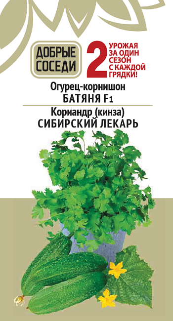 Огурец-корнишон БАТЯНЯ F1 и Кориандр (кинза) СИБИРСКИЙ ЛЕКАРЬ